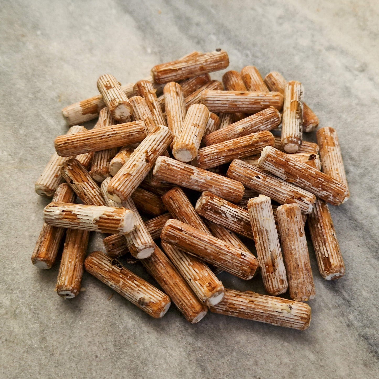 Shiitake - Allround - Pluggen