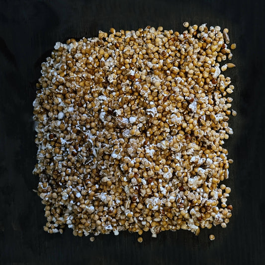 Gelber Austernpilzbrut – 80 Gramm