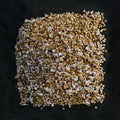 Gewone Oesterzwam broed - 80 gram