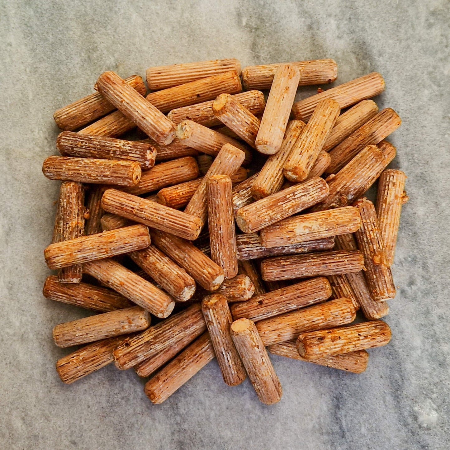 Japanische Bündelpilz-Stecker (Nameko).